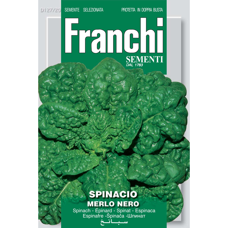 Spinach Merlo Nero